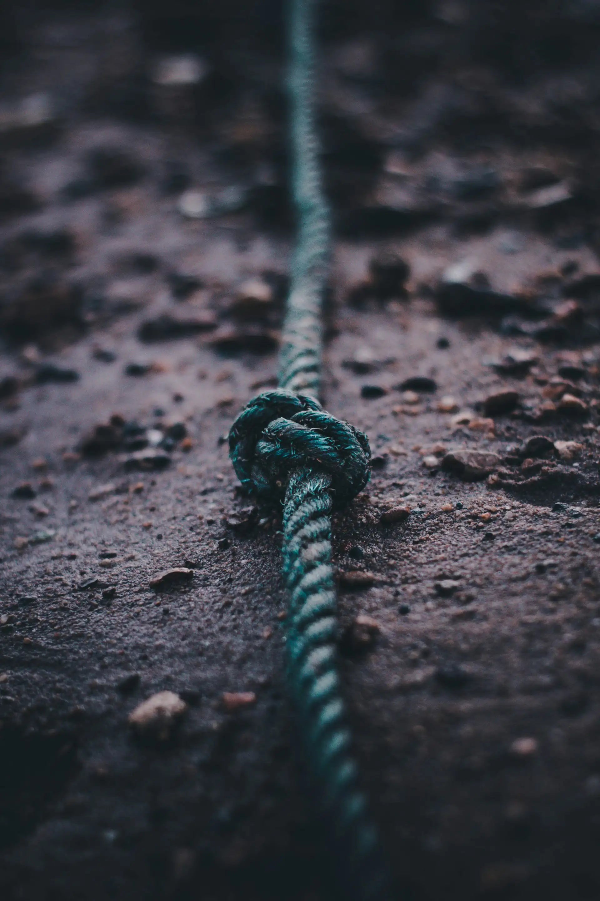 Climbing Ropes