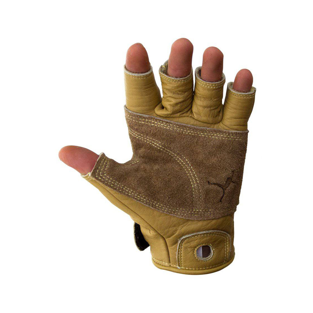 Climbing Glove